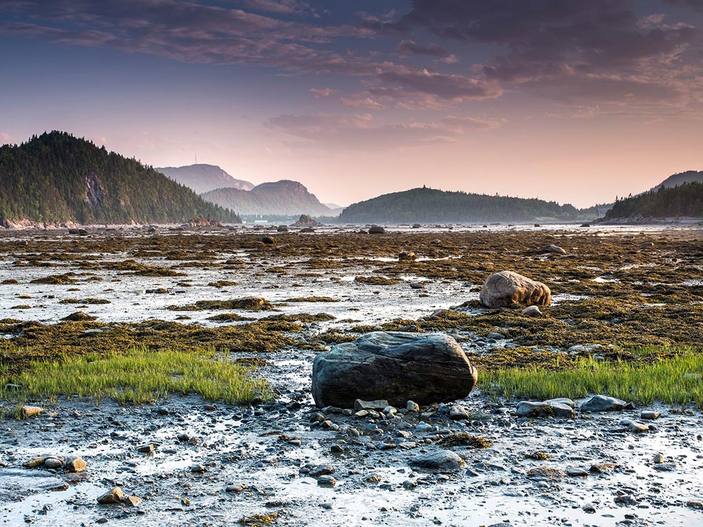 parc-du-bic